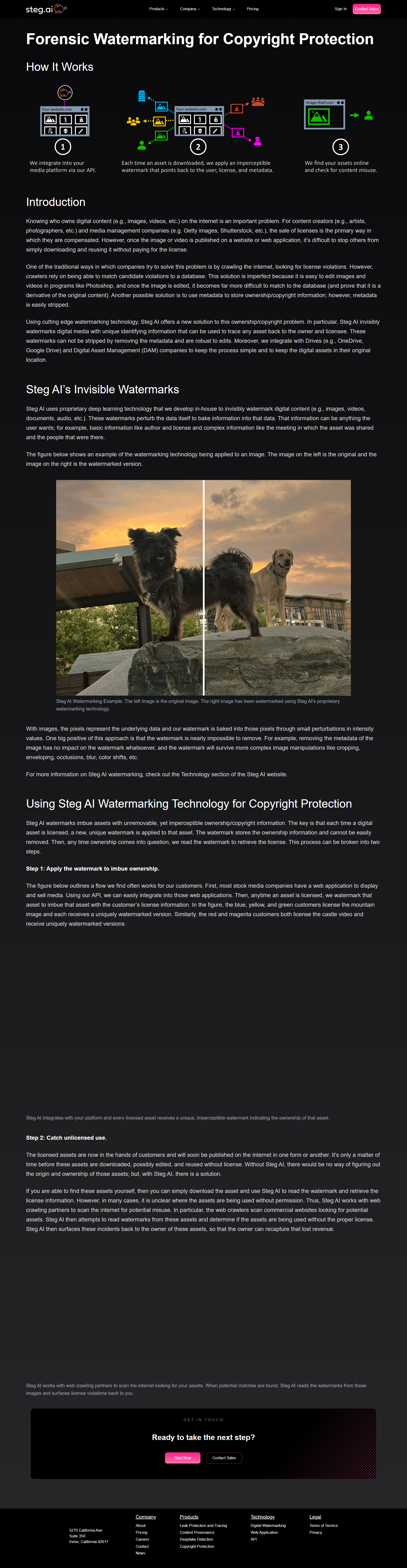 Competitor article on forensic watermarking showing coverage of enterprise DRM and content tracking use cases